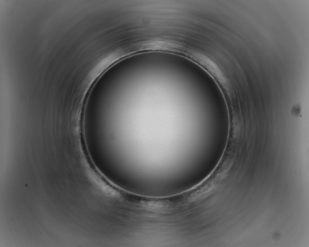 X0000102290946200807251419