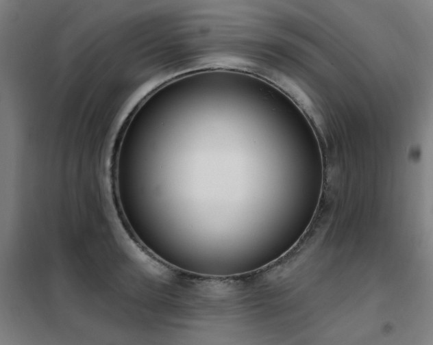 X0000102290947200807251419