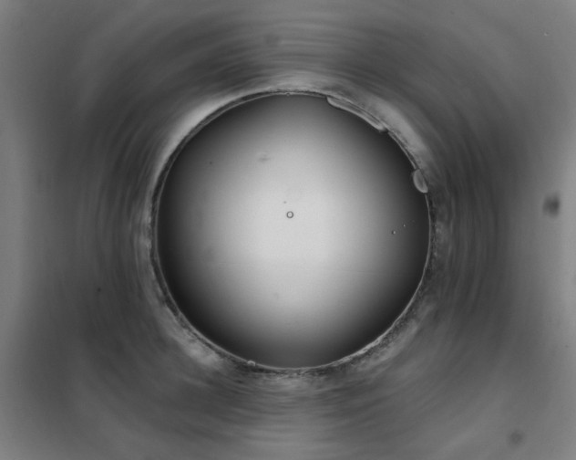 X0000102290948200807251419