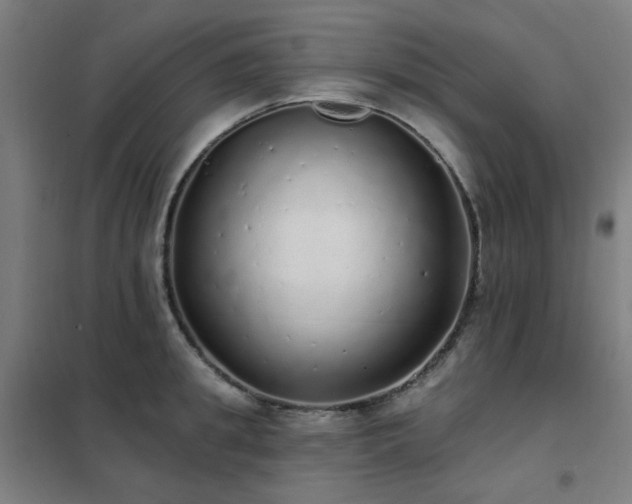 X0000102290949200807251419