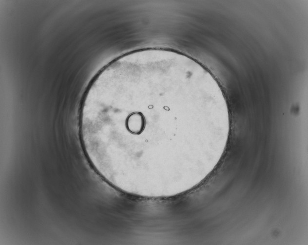 X0000102290950200807251419