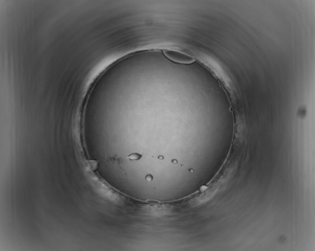 X0000102290952200807251419