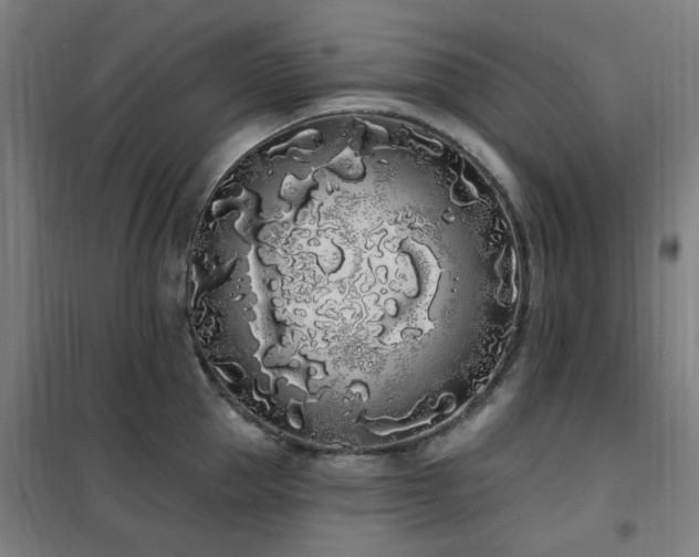 X0000102290953200807251419
