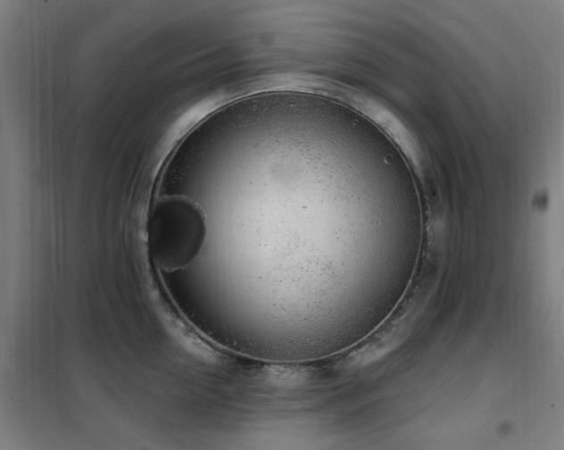 X0000102290954200807251419