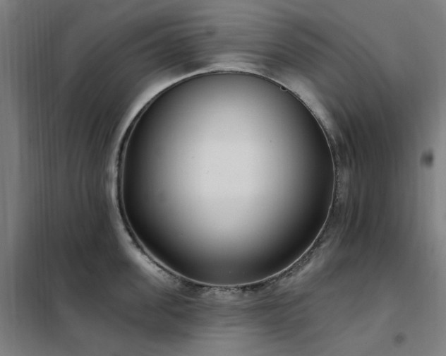 X0000102290955200807251419