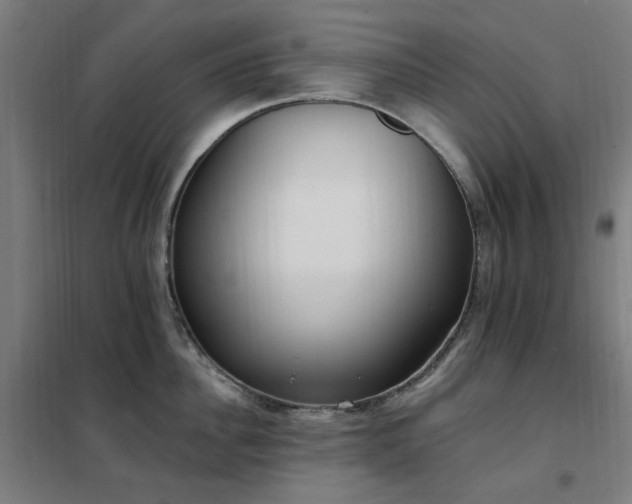 X0000102290956200807251419