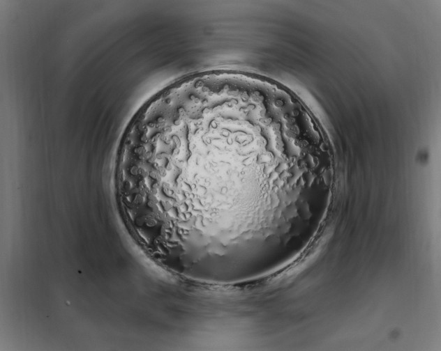 X0000102290957200807251419