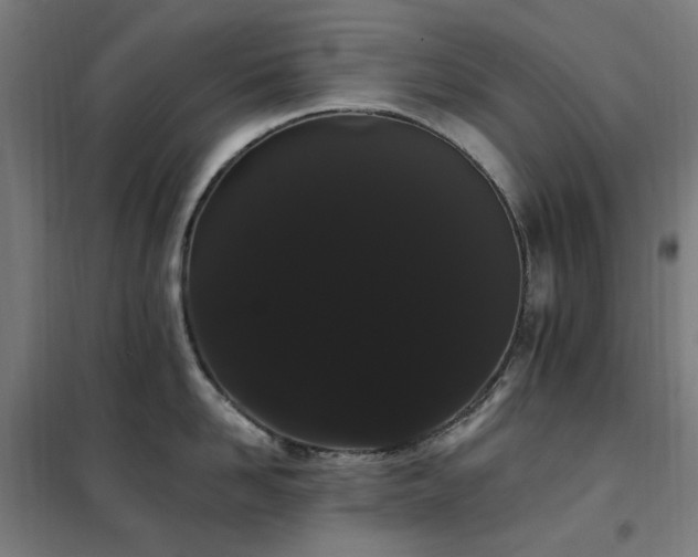 X0000102290958200807251419