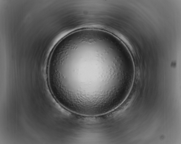 X0000102290959200807251419