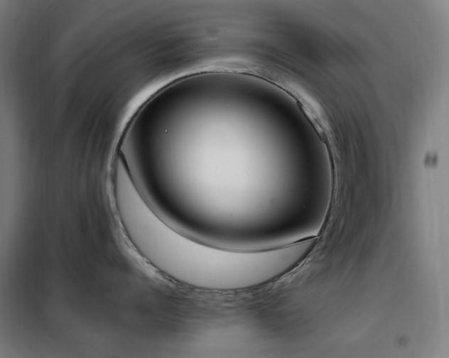 X0000102290960200807251419