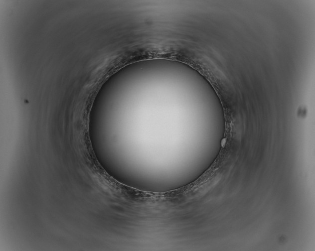 X0000102290961200807251418