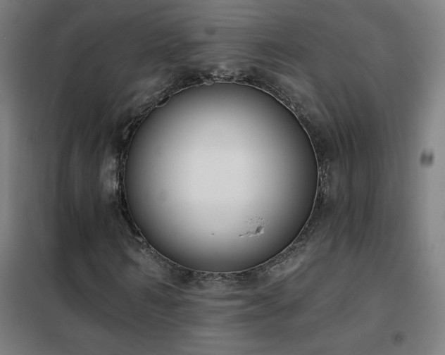 X0000102290962200807251418