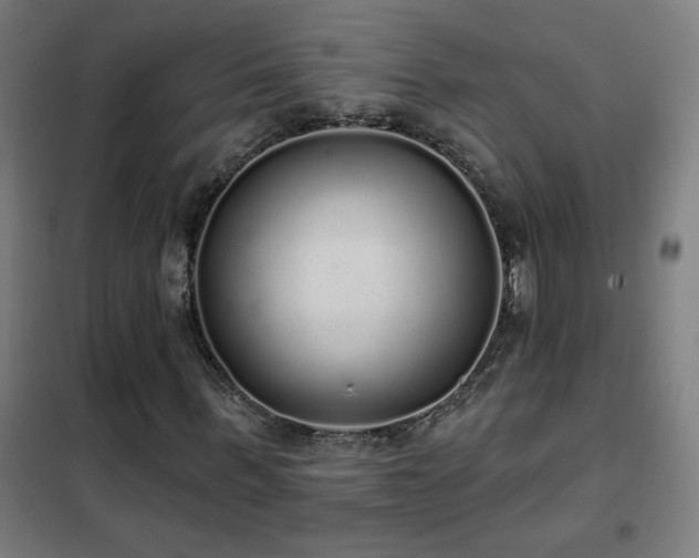 X0000102290963200807251418