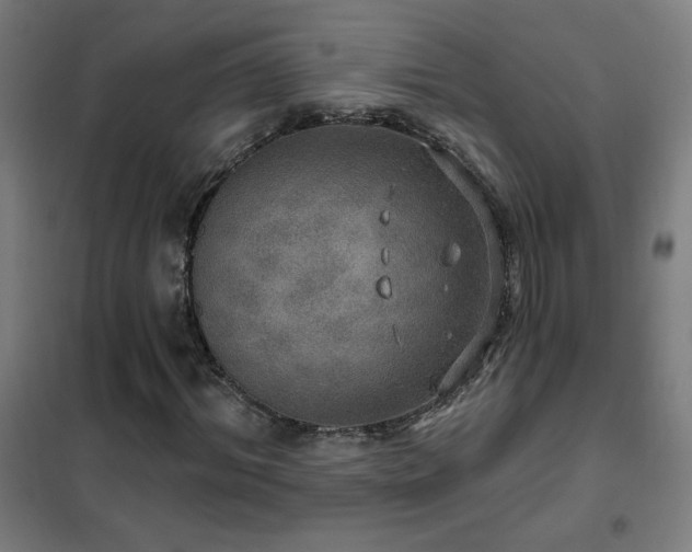 X0000102290964200807251418