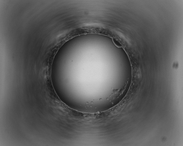 X0000102290965200807251418