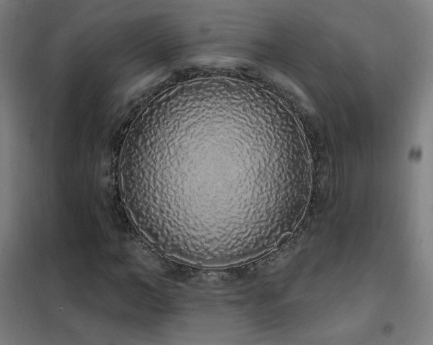 X0000102290966200807251418