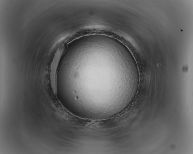 X0000102290967200807251418