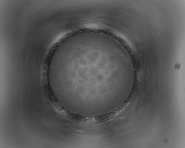 X0000102290968200807251418