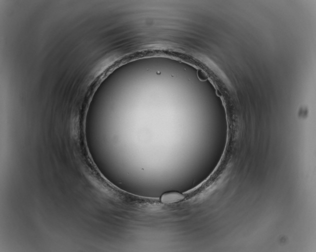 X0000102290969200807251418