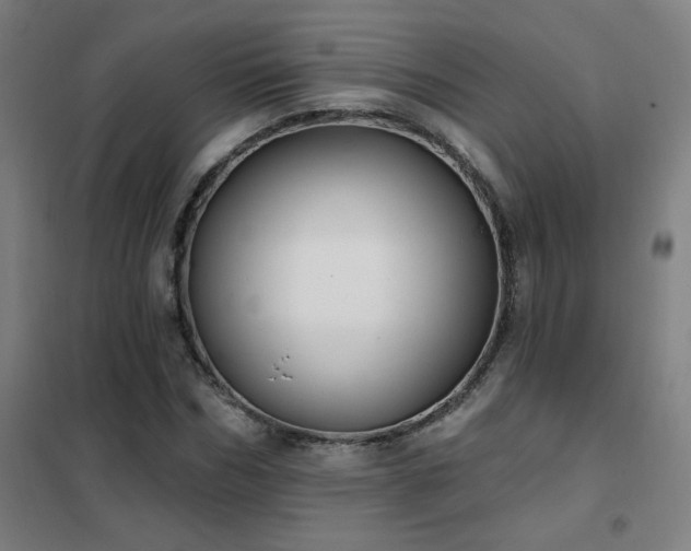 X0000102290970200807251418