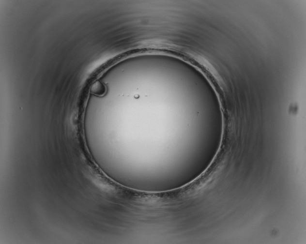 X0000102290971200807251418