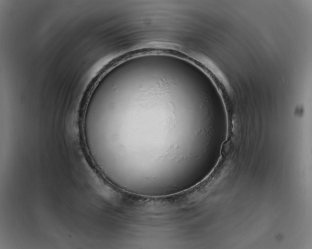 X0000102290972200807251418