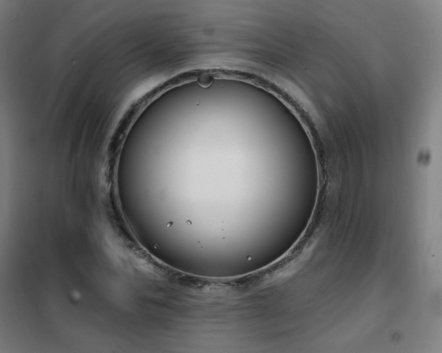 X0000102290974200807251418