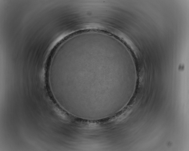 X0000102290975200807251418