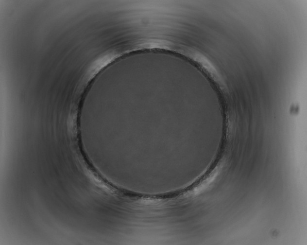 X0000102290977200807251418