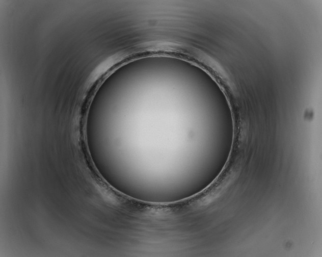 X0000102290978200807251418