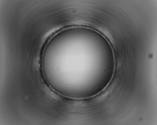 X0000102290979200807251418