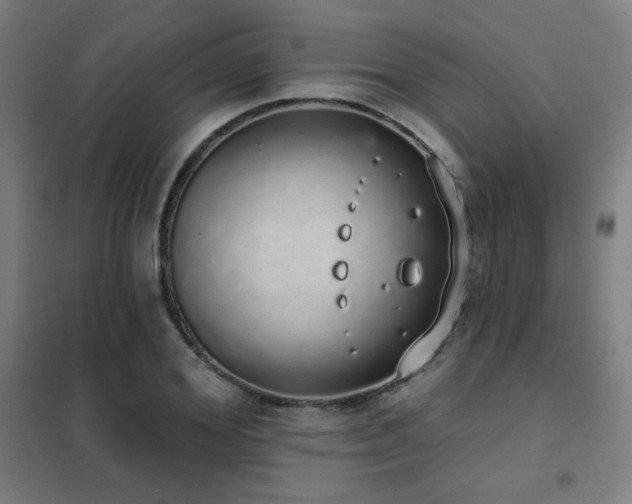 X0000102290980200807251418