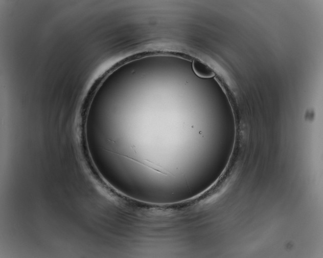 X0000102290981200807251418