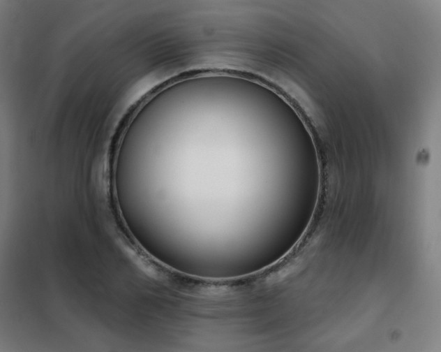 X0000102290982200807251418