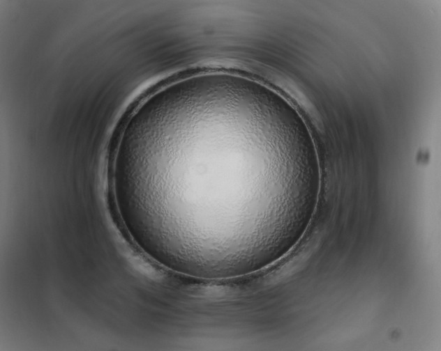 X0000102290984200807251418
