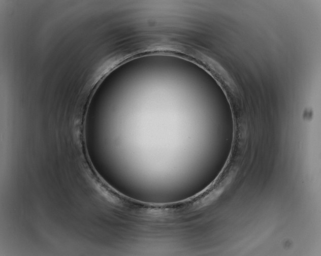 X0000102290985200807251418