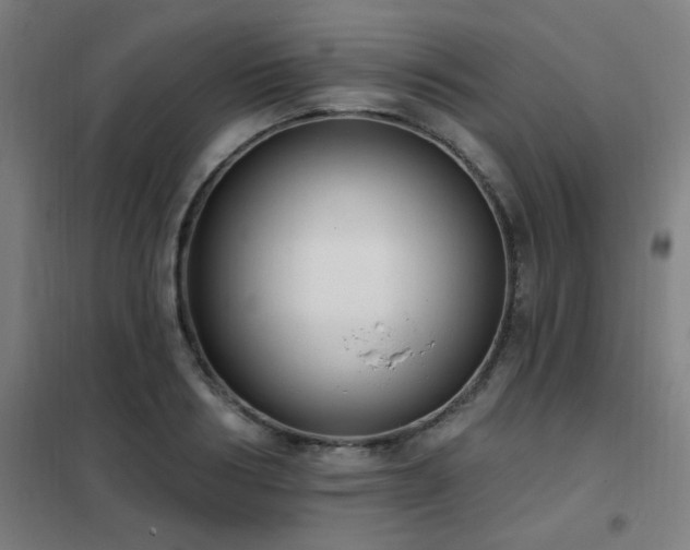 X0000102290986200807251418