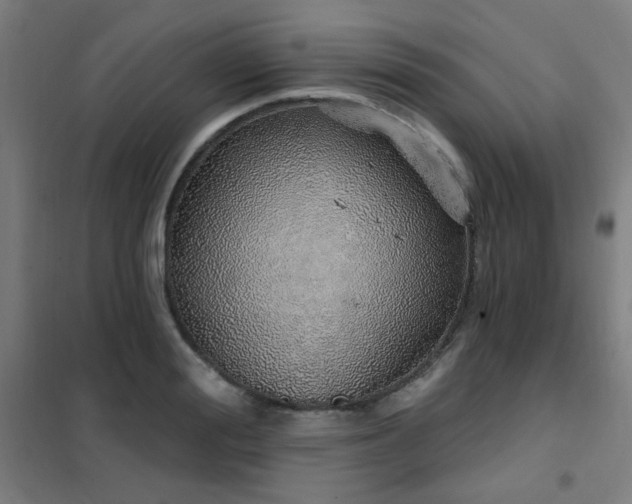 X0000102290988200807251418