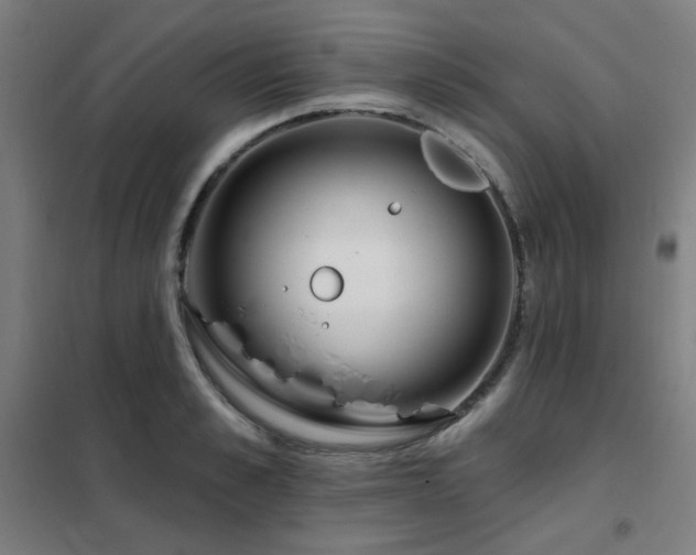 X0000102290989200807251418