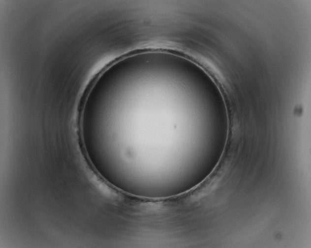 X0000102290990200807251418