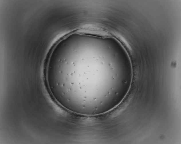 X0000102290991200807251418