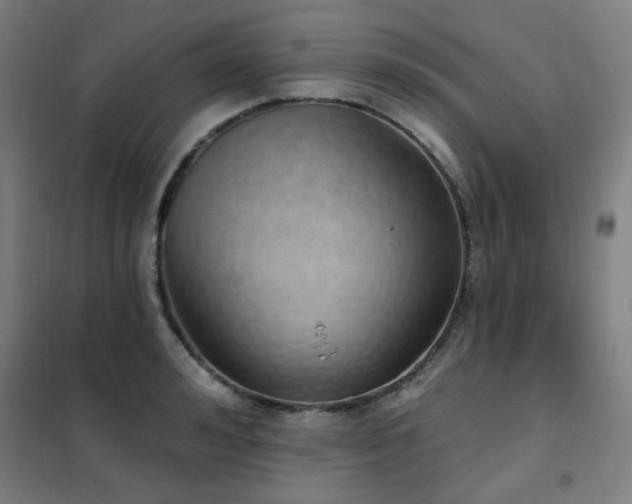 X0000102290992200807251418