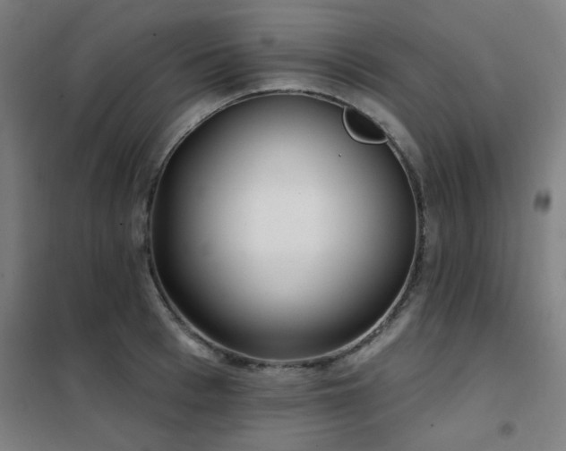 X0000102290993200807251418