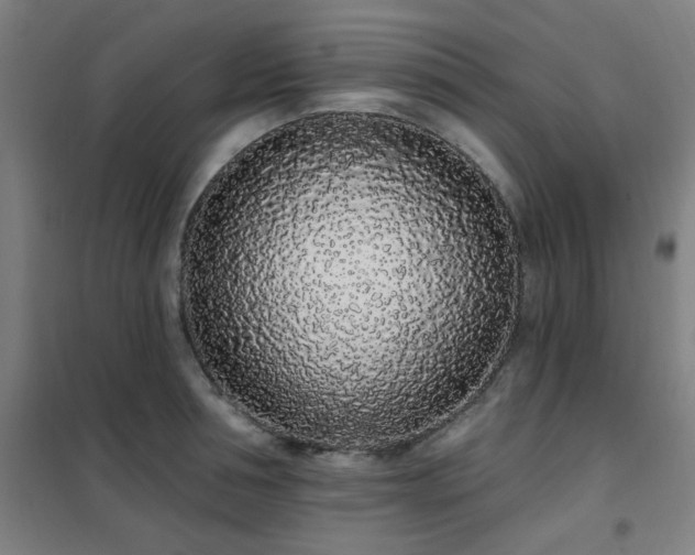 X0000102290994200807251418