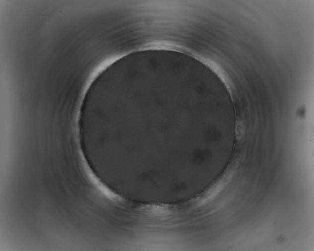 X0000102290995200807251418