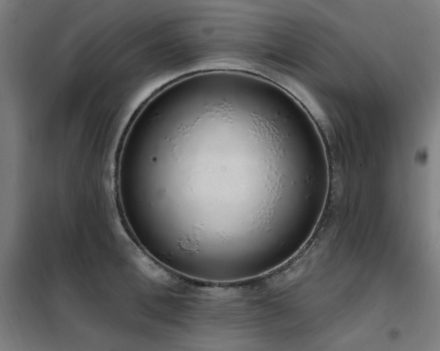 X0000102290996200807251418