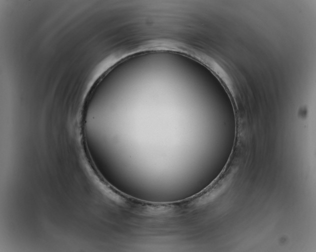 X0000102290997200807251418