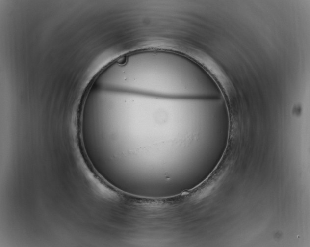 X0000102290999200807251418