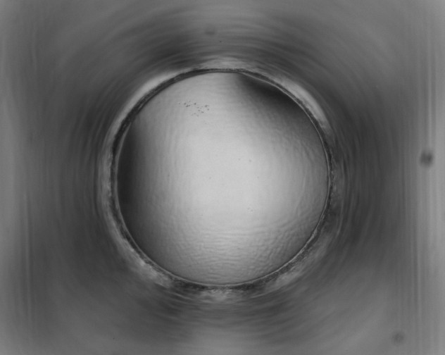 X0000102291000200807251418