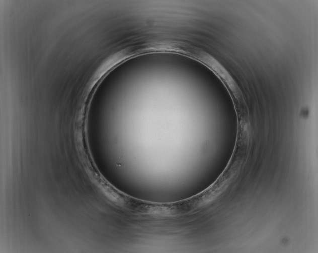 X0000102291002200807251418